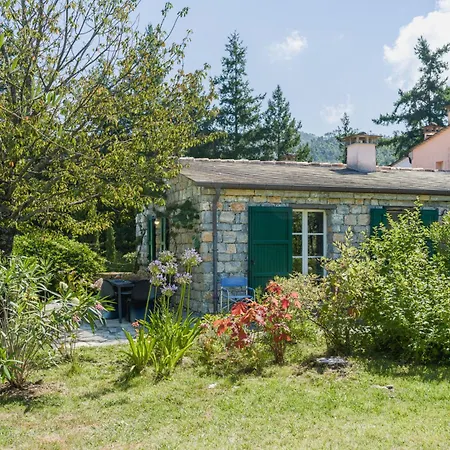 Casa Bianca By Interhome Tatil Evi Soviore